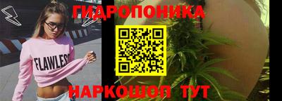 PSILOCYBIN Аргун