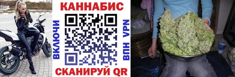 Конопля планчик  Архангельск 