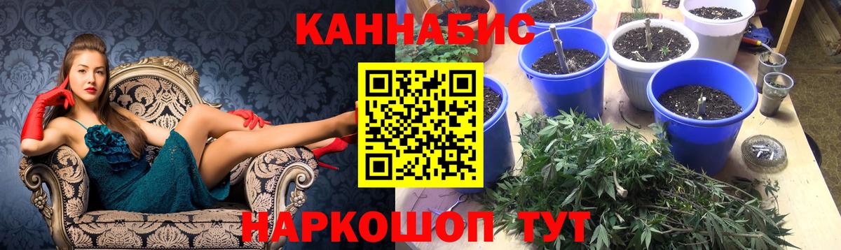 Шишки марихуана AK-47  МАРИХУАНА Bruce Banner  Шишки марихуана White Widow  Архангельск 